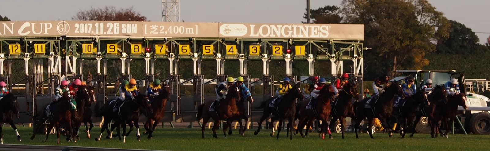 ジャパンカップのスタート直後。発馬機のゲートが開き、十数頭が一斉に芝コースへ飛び出している