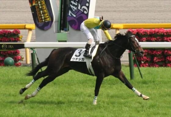 2007年5月27日の東京競馬場で、第74回東京優駿に出走したウオッカと四位洋文を横から撮影した写真