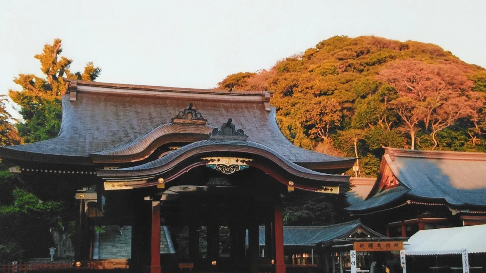 鶴岡八幡宮の舞殿。反り返った屋根を持つ木造の建物が石畳の広場に建ち、奥に山が見える