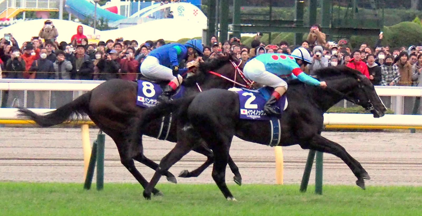 東京競馬場の直線で、ゼッケン2番のイクイノックスがゼッケン8番のパンサラッサに並びかけている
