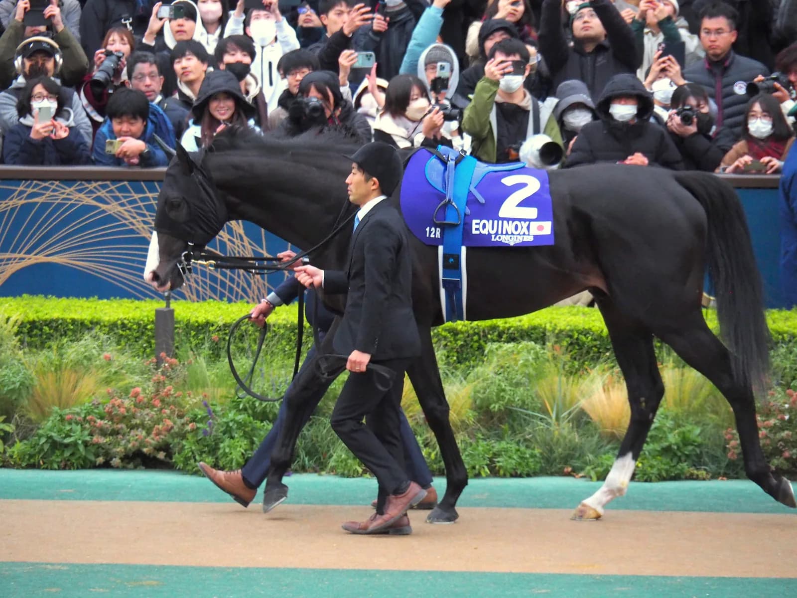 ジャパンカップ当日、発走前の下見所を歩くイクイノックス。ゼッケンに2番とEQUINOXの文字があり、柵の外を大勢の観客が取り囲んでカメラを向けている