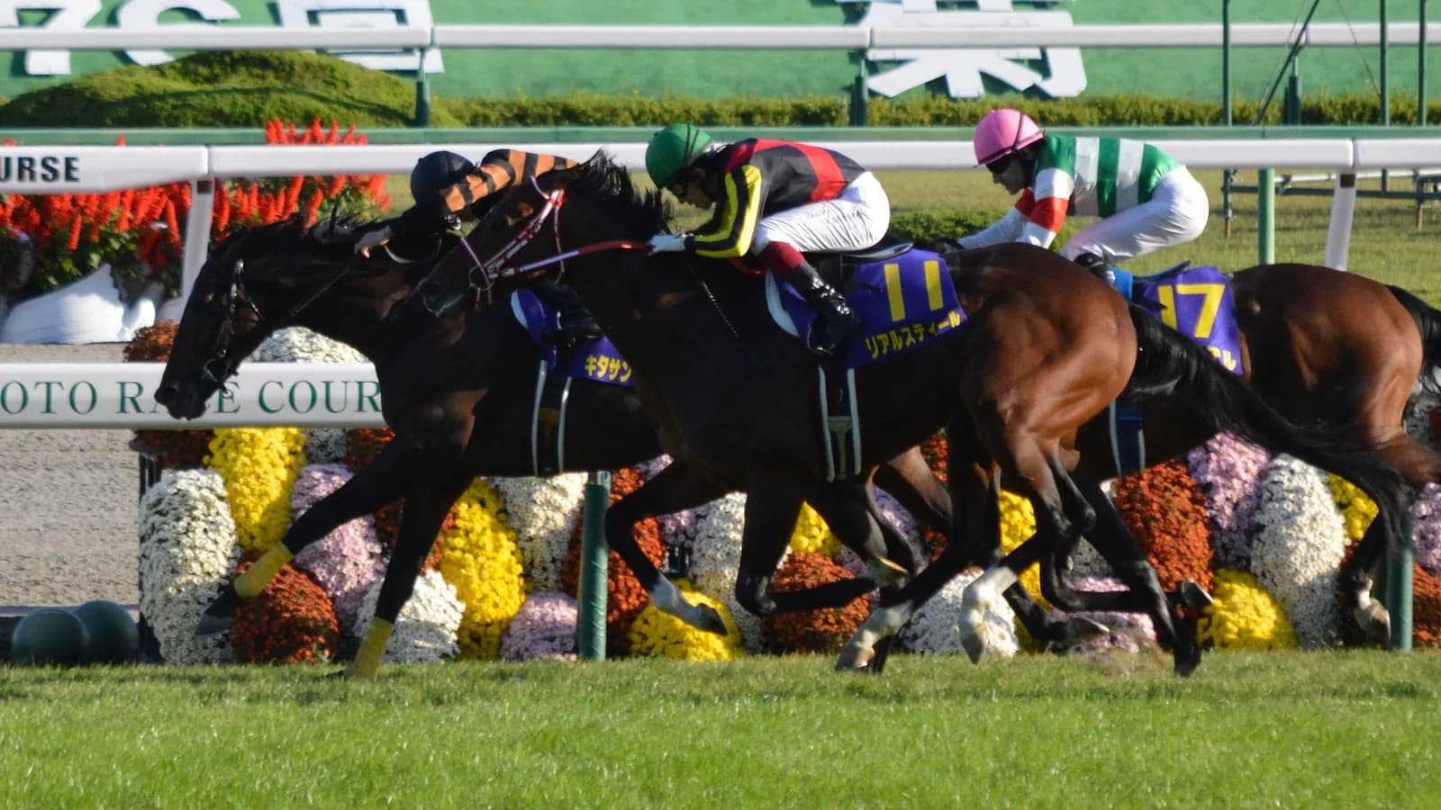 京都競馬場の直線を先頭で走るキタサンブラック。後ろから2頭が追い、奥に「KYOTO RACE COURSE」の看板が見える